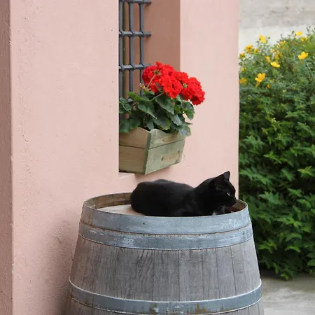 Borgo Colmello